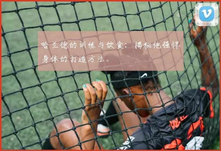 哈兰德的训练与饮食:揭秘他强悍身体的打造方法。