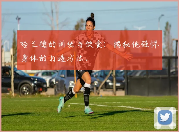 哈兰德的训练与饮食:揭秘他强悍身体的打造方法。