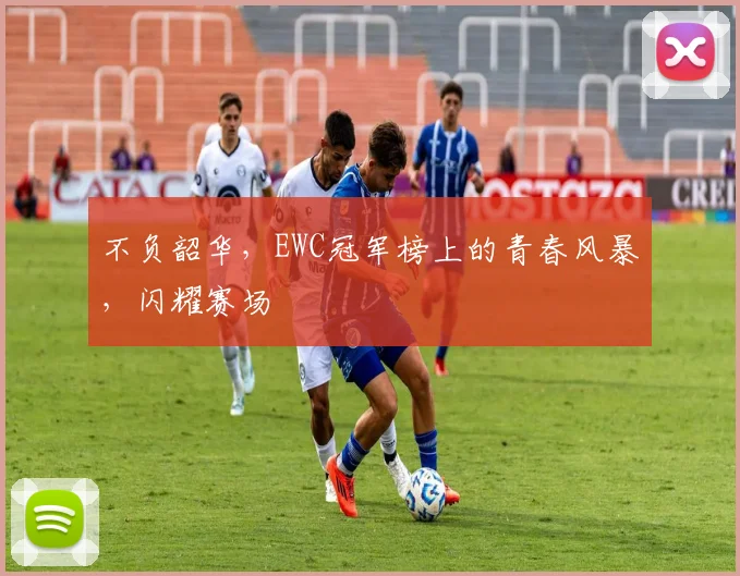 不负韶华,EWC冠军榜上的青春风暴,闪耀赛场