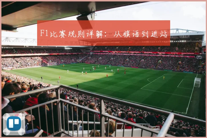 F1比赛规则详解:从旗语到进站